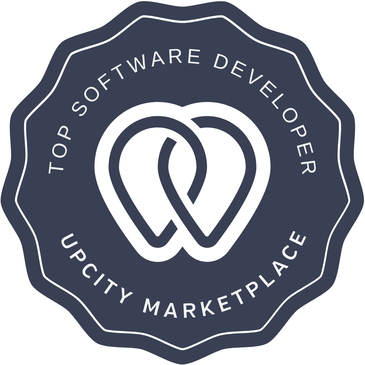 TOP SOFTWARE DEVELOPER